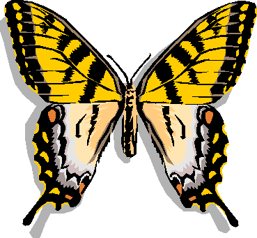 butterfly.bmp